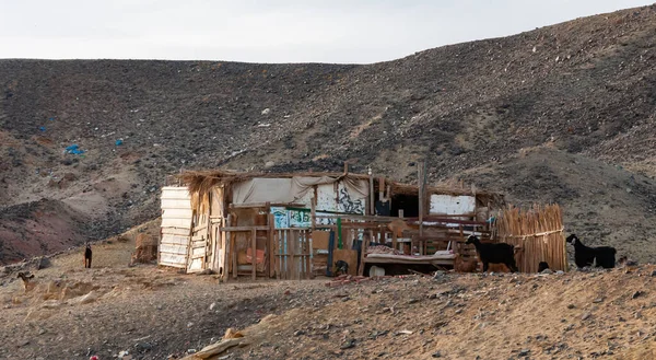 Egipto Febrero 2019 Vivienda Pastores Beduinos Pobres Del Desierto Zona — Foto de Stock