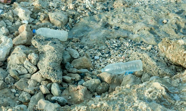Plastic Bottles Various Garbage Hotels Wild Garbage Dump Desert Egypt — Stock Photo, Image