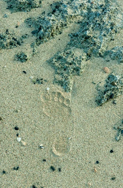 Nackter Fußabdruck Auf Dem Nassen Sand Der Küste Des Roten — Stockfoto