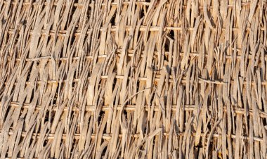 Kızıl Deniz kıyısında Reed örgüsü, turistler için fotoğraf bölgesi