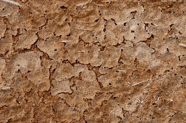 Száraz Repedt Vörös Agyag Sós Kristályokkal Sivatagban Egy Kiszáradt Patak — Stock Fotó