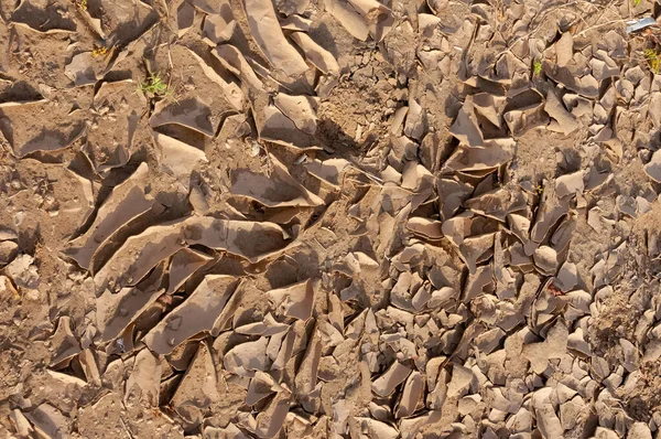 Argila Vermelha Seca Rachada Deserto Leito Uma Corrente Água Seca — Fotografia de Stock