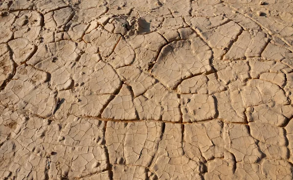 Száraz Repedt Vörös Agyag Sivatagban Ágyban Egy Kiszáradt Víz Patak — Stock Fotó