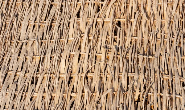 Kızıl Deniz Kıyısında Reed Örgüsü Turistler Için Fotoğraf Bölgesi — Stok fotoğraf