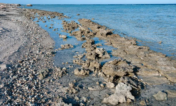 Coral Ρηχά Νερά Χαμηλή Παλίρροια Κατά Μήκος Της Ακτής Της — Φωτογραφία Αρχείου