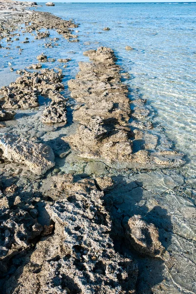 红海沿岸低潮时的珊瑚浅水 — 图库照片