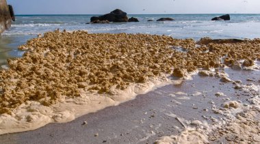 Kirli köpük ve su kirliliği ve Ukrayna 'nın Odessa kentindeki plajları kumla doldurduktan sonra ötrofikasyon.