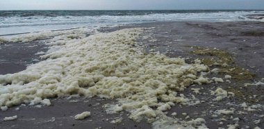 Kirli köpük ve su kirliliği ve Ukrayna 'nın Odessa kentindeki plajları kumla doldurduktan sonra ötrofikasyon.