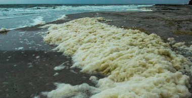 Kirli köpük ve su kirliliği ve Ukrayna 'nın Odessa kentindeki plajları kumla doldurduktan sonra ötrofikasyon.