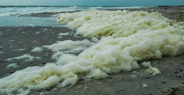 Espuma Suja Poluição Água Sua Eutrofização Depois Encher Praias Com — Fotografia de Stock