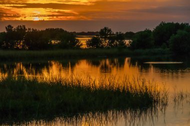 Louisiana 'daki bataklıkta güzel bir günbatımı, sudaki bulutların yansıması, Usa 