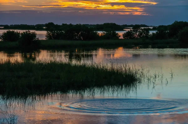 Krásný Západ Slunce Nad Bažinou Louisianě Odraz Mraků Vodě Usa — Stock fotografie