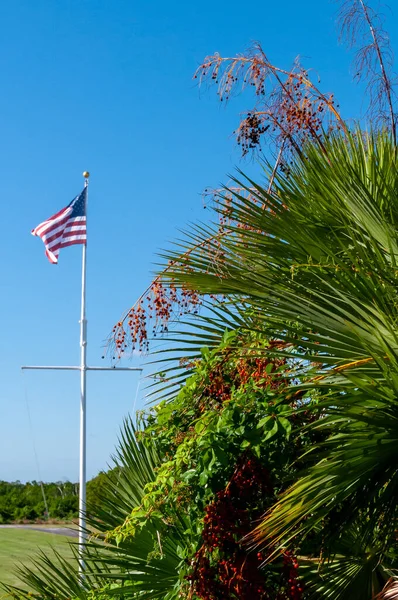 佛罗里达州南部热带植被附近的风中飘扬着一面美国国旗 — 图库照片