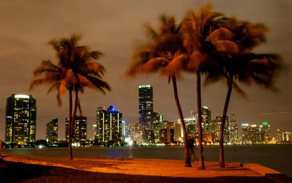 Usa Florida November 2011 Uitzicht Nacht Gloeiende Stad Aan Kust — Stockfoto