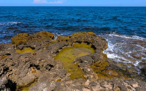 Flaches Felsiges Ufer Mit Vielen Lebensreichen Küstenpfützen Osten Der Krim — Stockfoto