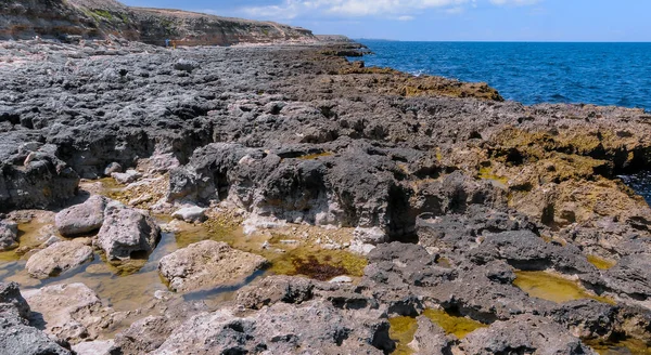 stock image Flat rocky shore with many littoral puddles rich in life, in the eastern Crimea, Black Sea