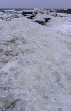 Karadeniz dondu, dalgalar tarafından yuvarlanan dairesel buz karaya atıldı ve dondu.