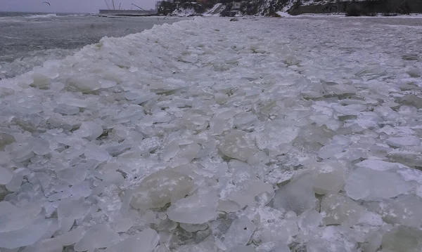 Okrągły Pancaked Lód Pobliżu Brzegu Zamarzniętego Morza Czarnego Surowa Zima — Zdjęcie stockowe