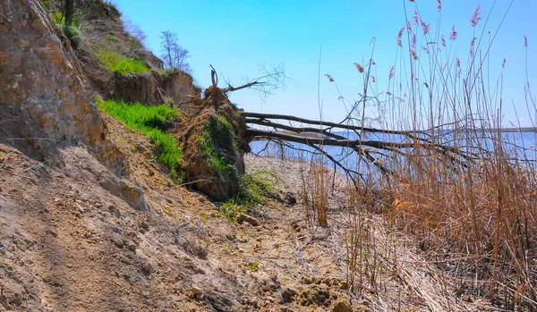 Lac Yalpug Érosion Argile Rivage Ravins Effondrements Côtiers Ukraine — Photo