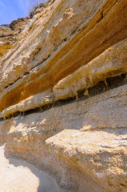 Kırım 'da soyu tükenmiş yumuşakçaların hava durumu ve yıkımı
