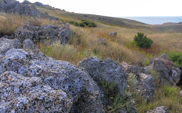 Piedras Concha Rocas Territorio Kazantip Paisaje Estepa Con Flora Fauna — Foto de Stock