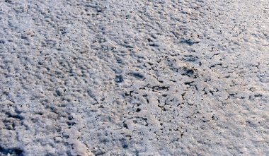 Kırım 'ın doğusundaki kurumuş tuz gölünün kıyısında kendi kendine çöken masa tuzu kristalleri.