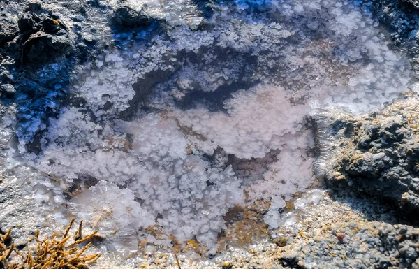 Kristalle Selbstfällenden Kochsalzes Ufer Eines Austrocknenden Salzsees Osten Der Krim — Stockfoto