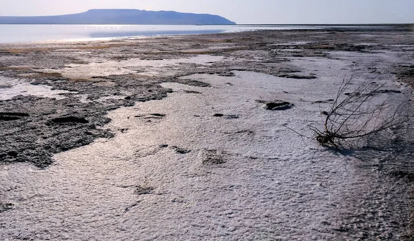 stock image Drying salt lake in the Crimea, self-sedimentary salt on the silty shore of the lake