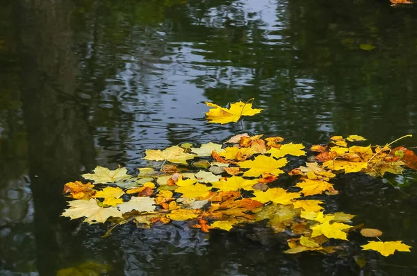 Folhas Amarelas Outono Superfície Água Lago Uman — Fotografia de Stock