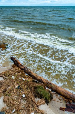 Kakhovka enerji santralindeki barajın yıkılması sonucu, deniz Odessa sahillerine çöp ve ağaç gövdeleri fırlattı.