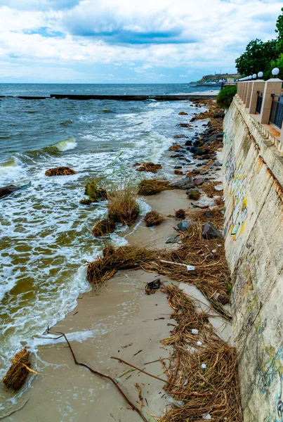 stock image Consequences of the Accident at the Kakhovka power plant, pollution of the beaches of Odessa with garbage and plant remains brought by water