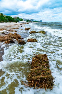Kakhovka enerji santralinin yıkılması sonucu, akıntı Odessa sahillerine çöp ve yüzen sazlıklar ve nehir bitkilerinden oluşan adalar getirdi.