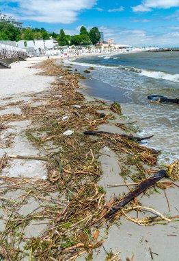 Kazanın Kakhovka enerji santralindeki sonuçları, Odessa sahillerinin kirliliği çöp ve bitki kalıntıları su ile taşınıyor.