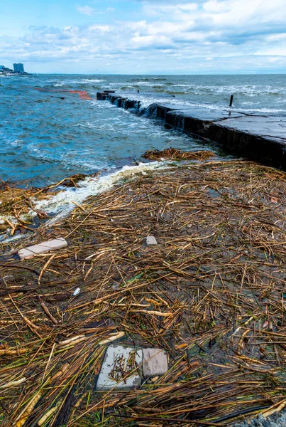 stock image The explosion of the dam of the Kakhovka power plant, tons of floating debris and the roots of aquatic plants sailed to the beaches of Odessa