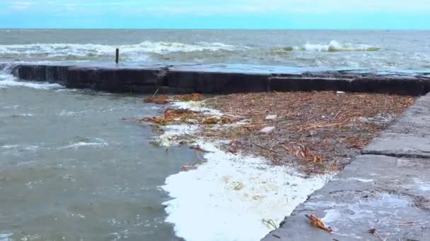 汚い白い泡 プラスチックと野菜の破片が上陸し オデッサの街のビーチに浮かびました ウクライナ — ストック動画