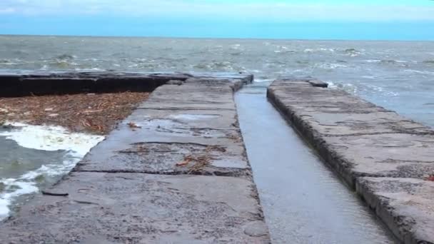 Espuma Branca Suja Detritos Plástico Vegetais Flutuaram Terra Nas Praias — Vídeo de Stock