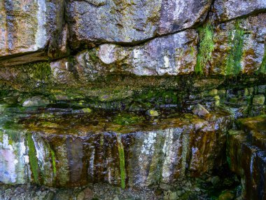 Kaynayan tatlı su yeşil lifli yosunlar yağmur suyunda Yılan Adası 'nda kayalardan aşağı akıyor.