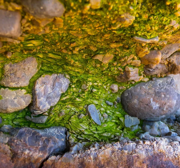 Буріння Прісноводних Зелених Волокнистих Водоростей Дощовій Воді Стікає Скелях Острові — стокове фото