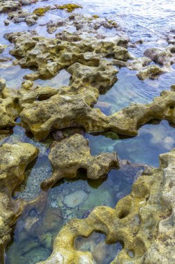 Malta adasının taştan kıyı bölgesi, suyun kıyısındaki gelgit bölgesinde su gölleri.