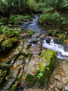 Stormy rifts on a small mountain river in Ivano-Frankivsk region, Ukraine