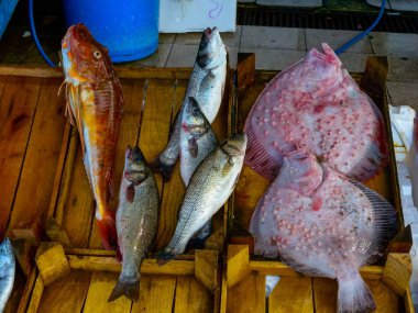 TRABZON, Türkiye - 22 Ekim 2014: Trabzon, Türkiye 'deki küçük dükkanlarda hediyelik eşya ve antika satışı 