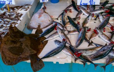 TRABZON, Türkiye - 22 Ekim 2014: Trabzon, Türkiye 'deki küçük dükkanlarda hediyelik eşya ve antika satışı 