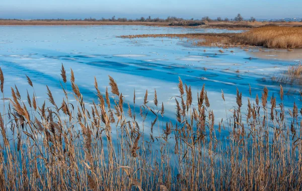 Gefrorenes Wasser Schneematsch Kleinen Seen Tiligul Mündung Ukraine — Stockfoto