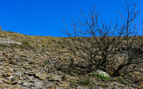 Paisagem Montanhosa Vegetação Selvagem Nas Encostas Ruínas Das Montanhas Antigo — Fotografia de Stock