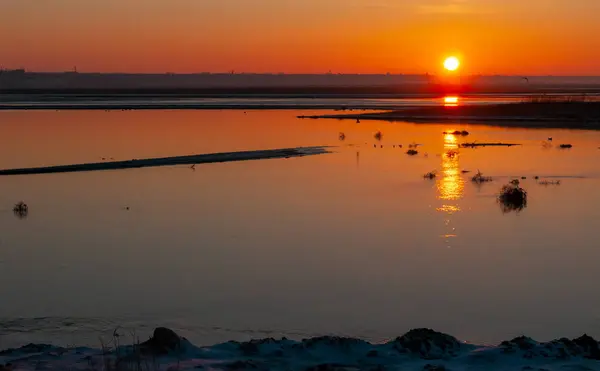 Orange sunrise over the lower reaches of the Tiligul estuary, birds on the water, Ukraine