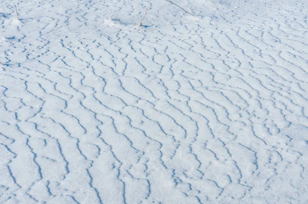 Απαλός Πάγος Και Παγωμένο Χιόνι Μορφή Κρυστάλλων Βελόνας Στην Όχθη — Φωτογραφία Αρχείου