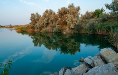 Sel basmış bir granit ocağının berrak sularındaki ağaçların yansıması, Ukrayna