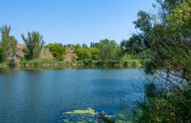 Granit bankaların arasında yavaşça akan bir nehrin yatağı Ukrayna 'nın pitoresk bitki örtüsüyle kaplıdır.