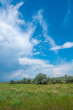 Ukrayna 'nın Tiligul nehri yakınlarındaki Çiçek Çeşmesi üzerinde beyaz bulutlar