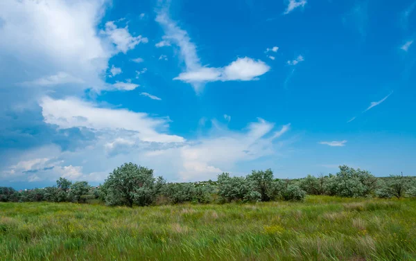 Nuvens Brancas Sobre Estepe Florescente Perto Estuário Tiligul Ucrânia — Fotografia de Stock